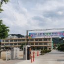죽향초 이미지