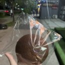포르피노열두번째이야기 이미지
