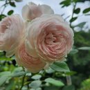 단지골 농장 이미지