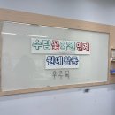 [노원구 원예 체험 프로그램] 마음을 치유하는 어르신 복지관 원예 활동 상계역 꽃집 수림꽃화원 진행 후기