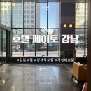 Hotel Peyto(호텔 페이토) | 초역세권 가성비호텔_ 페이토 강남 Hotel PEYTO
