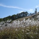 영덕중학교 이미지