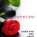 🌹12월 6일 수요일 강방출석부🌹 이미지