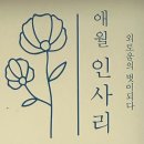 애월인사리 이미지