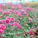 신송마을회관 이미지