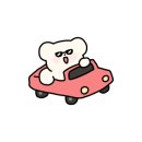 대양세차장 이미지