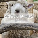 WR(인천광역시 남동구)-20[서창남순환로]-하-1 | 인천 실내 아이와함께 가볼만한 곳, 냄새 걱정 없는 실내동물원 쥬벅스 특별한 체험 후기