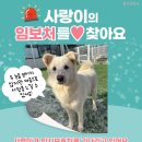 사랑/남아/1살/15kg 이미지