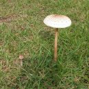 한솔파크빌리지 이미지