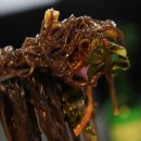 강남동-11 이미지