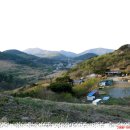 남양농장 이미지