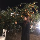 어린왕자게스트하우스 | 제주 산방산 게스트하우스 어린왕자게스트하우스 후기