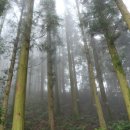 득량주유소 이미지