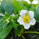 김근 농장 이미지