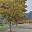 산책로417번길 | 충북 음성 캠핑장 원남지야영장 후기