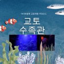 유영유치원 | 교토 가볼만한 곳 교토수족관 할인정보 및 후기