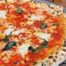 피자리오시오 이미지