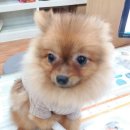 가양쿨펫동물병원 이미지