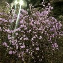 한바탕노래연습장 이미지