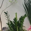 명지본튼튼의원 이미지