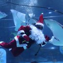 아쿠아리움 이미지