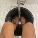 동패동필라테스 건강한 몸 만들기 프로젝트 [리베르필라테스] 후기