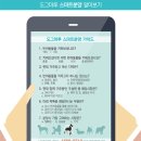 창원강아지분양 고양이분양 도그마루 이미지