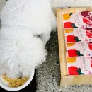 메리도프 이미지