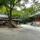 다원베이스캠프