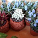 생활도자기(오전반) 이미지