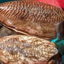 쌍용반점 이미지