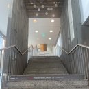 한화리조트제주 | 제주 한화리조트 조식뷔페 오름 후기