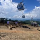 대인농장4 이미지