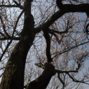 (주)나무연구소 이미지