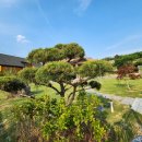 드림부동산양평공인중개사사무소 이미지