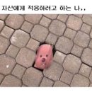 엔프피 이미지