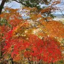 늘행복한농장 이미지