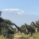 최고봉당구장 이미지