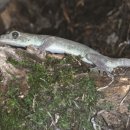 정천축사 이미지