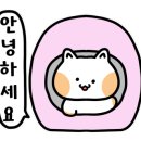 비 마이 네일 네이버블로그