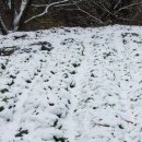 지리산골식품