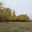 미사경정공원 이미지