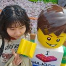 초밥랜드 | 볼만한 곳 야끼니꾸 우설 서서먹는 초밥 매실하이볼 맛집 일본 나고야 레고랜드 후기 맛집 추천 !내돈내산!