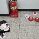 연제구 보훈회관 화재안전 점검 이미지