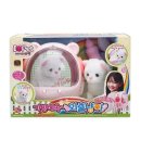 아이러브 펫 이미지