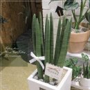 경기화분