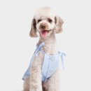 알로하 페키니즈 이미지