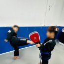 현중무관 백호 합기도 이미지