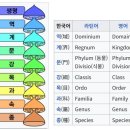 수생균의 재분류-Saprolegnia는 진균이 아니라 난균이다 이미지