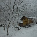 샤갈의 마을 이미지